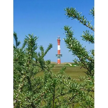بيت للعطل Lagoon On The Wadden On