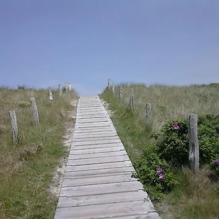Lagoon On The Wadden On