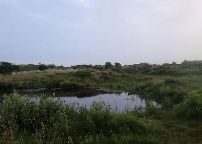 Сasa de vacaciones Lagoon On The Wadden On